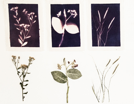 Sun Printing Workshop